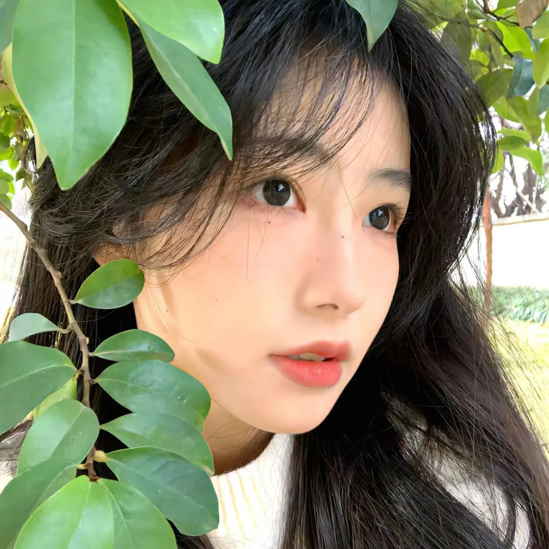 我的丫鬟是总监